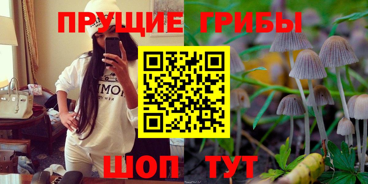 Спасск-Дальний  Псилоцибиновые грибы ЛСД  наркота  Псилоцибиновые грибы мухоморы  Вход с VPN 