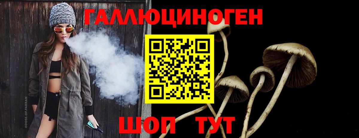 Галлюциногенные грибы прущие грибы Спасск-Дальний